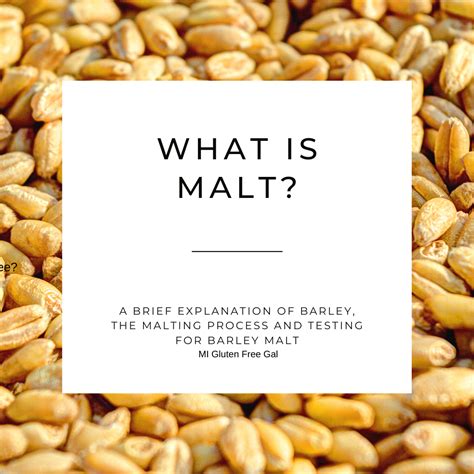 gluten free malt meaning.